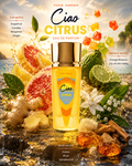 Paris Corner — Ciao Citrus