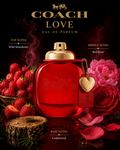 Coach — Love